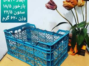 تولید کننده سبد میوه در بابل