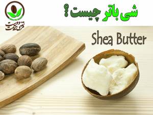 شی باتر چیست و چه خواصی برای پوست و مو دارد؟