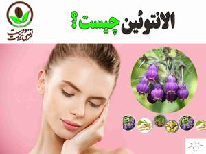 آلانتوئین چیست ؟