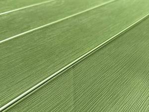 مرکز فروش میز و صندلی پلاستیکی در رشت