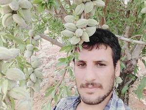 نهالستان تخصصی فارس نهال