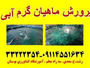 دوره آموزشی پرورش دهنده ماهیان گرمابی