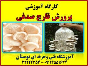 کارگاه آموزشی دو روزه پرورش قارچ صدفی به صورت تئوری و  عملی