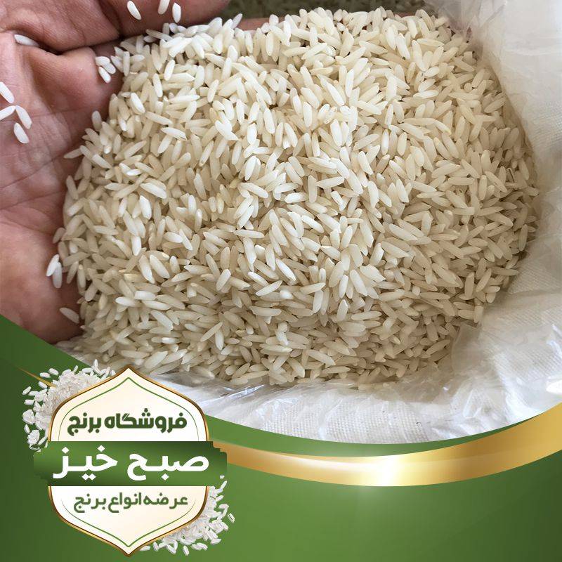 برنج درجه یک شمال
