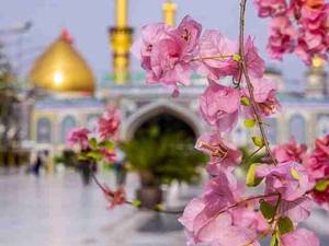 مداحی اهل بیت در کشور