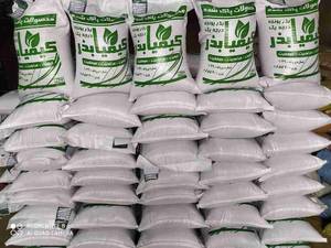 فروش بذر یونجه درجه یک
