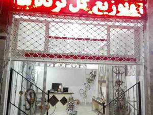 تیرک های مختلف داکتیل