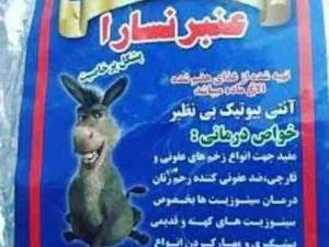 عنبر نسارا