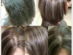 های لایت گردویی