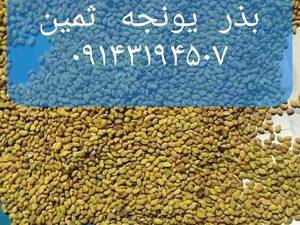 بذر یونجه ثمین در تبریز