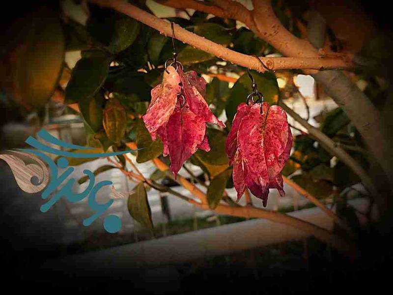 گوشواره طرح گلبرگ