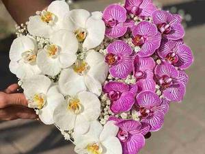 طرح گل قلب