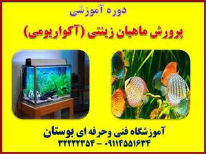 دوره آموزشی پرورش ماهیان زینتی (آکواریومی)
