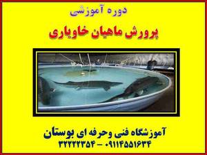 دوره آموزشی پرورش ماهیان خاویاری