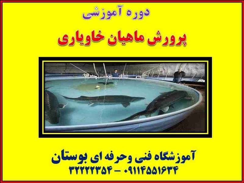 دوره آموزشی پرورش ماهیان خاویاری