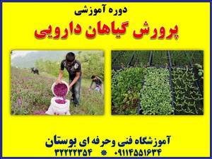 دوره آموزشی پرورش دهنده گیاهان دارویی
