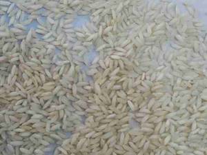 برنج چمپا سفیده شده