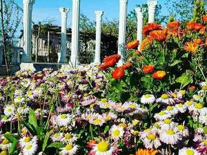ساخت نرده و ستون سنگی در گیلان
