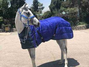 فروش جل زمستانی یال