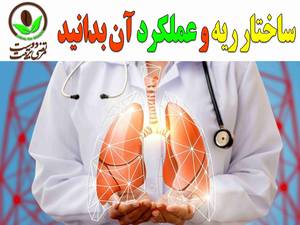 هر آنچه نیاز است در مورد ساختار ریه و عملکرد آن بدانید ؟