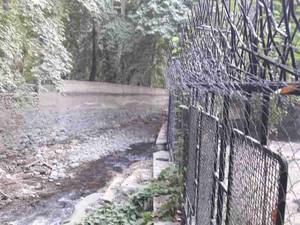 طراحی حفاظ شاخ گوزنی