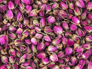 گل محمدی و خواص آن