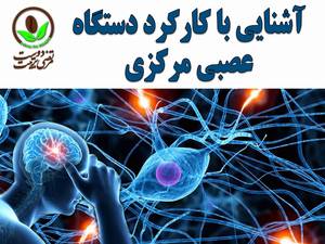 آشنایی با کارکرد دستگاه عصبی مرکزی