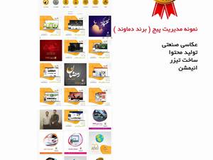 نمونه مدیریت پیج اینستاگرام توسط کانون تبلیغاتی زرین