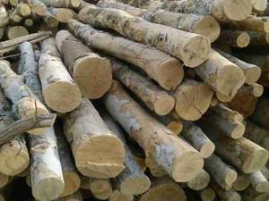 انواع الوار و چوب با قیمت مناسب