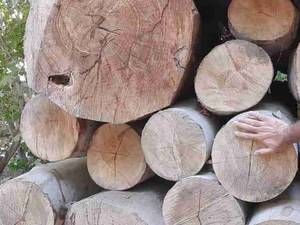 انواع الوار و چوب با قیمت مناسب