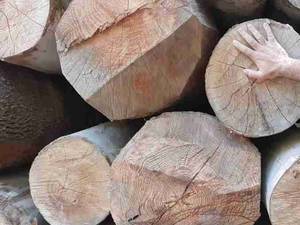 انواع الوار و چوب با قیمت مناسب