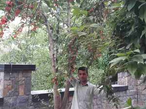 پیمانکار سنگ لاشه سنگ مالون محمودی پیمانکار سنگ لاشه سنگ مالون م