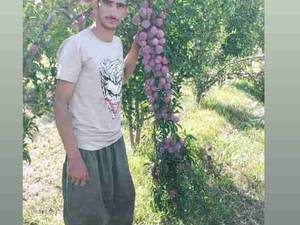 پرورش نهال های سنتی و غیر میوه در میاندوآب