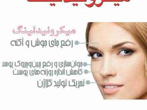 میکرونیدلینگ