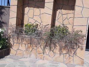 انواع سنگ لاشه دیور اجرا سنگ مالون با سنگ کوبیک