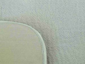 نمگیر استند دار