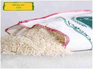 قیمت برنج 99