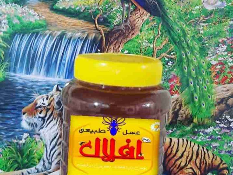 عسل وحشی
