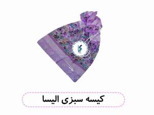 کیسه سبزی الیسا