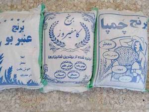 برنج  کامفیروزی