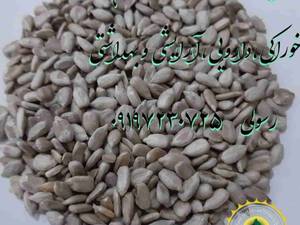 تخمه آفتابگردان بسیار خوش طعم در تهران