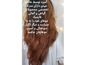 رنگ،لایت،هایلایت