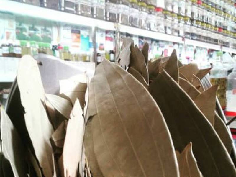 فروش برگ ساذج درکرج