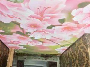 سقف های کشسان و ا تهسکای لایف