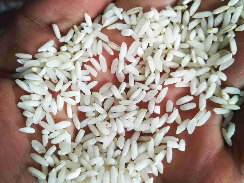 برنج عنبربو با قیمت مناسب در اهواز