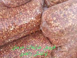 فروش ضایعات خرمای لواشکی در قیروکارزین