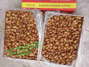 فروش خرمای زاهدی درجه لوکس