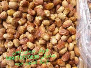 فروش خرمای زاهدی درجه لوکس
