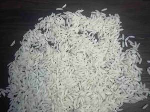 فروش برنج هاشمی