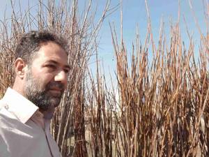 گردوی کاغذی دیرگل